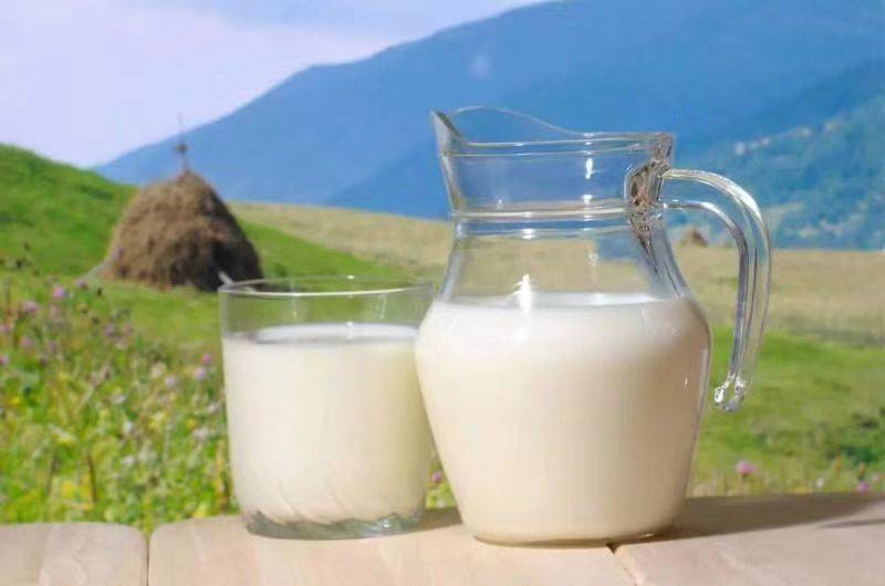 驼奶粉能否改善乳糖不耐受体质