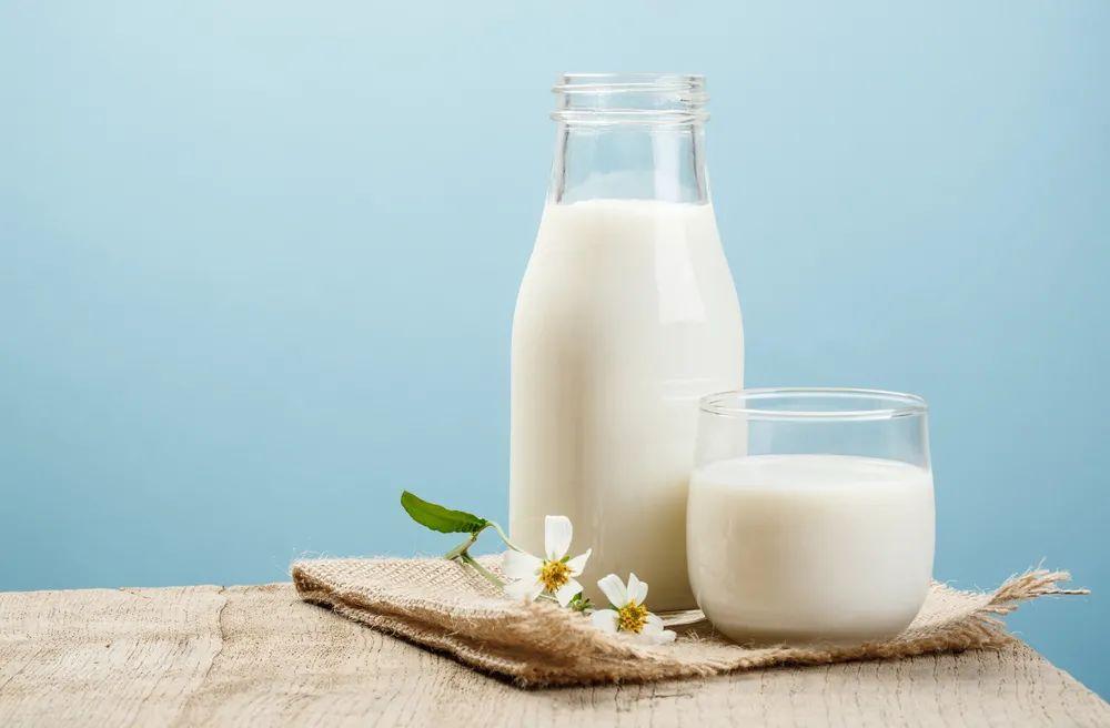驼奶厂家介绍驼乳粉存在口感差异的原因