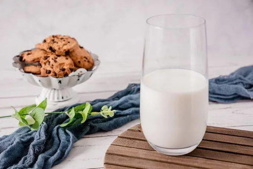 纯驼奶粉与配方驼乳粉有什么差异